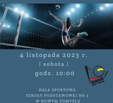 Mistrzostwa siatkówki kobiet 4.11.2023 Plakat